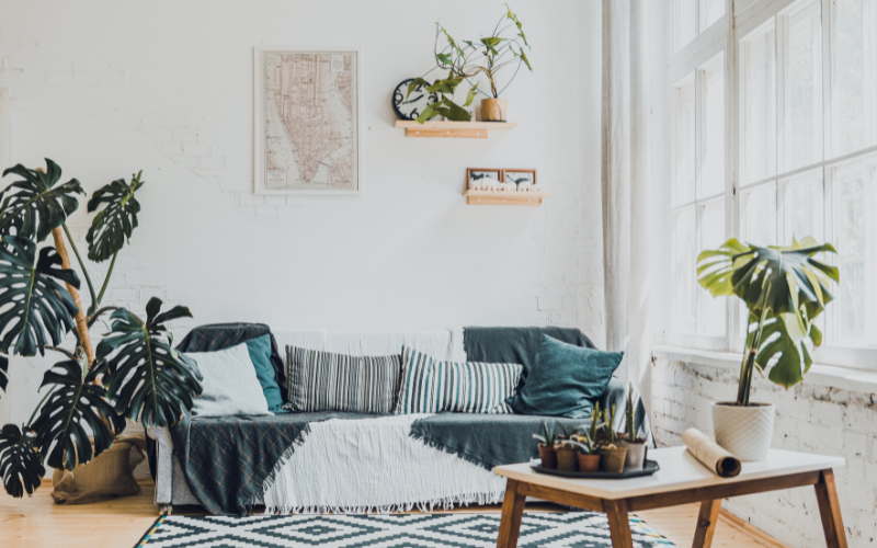 invitez des plantes dans le salon