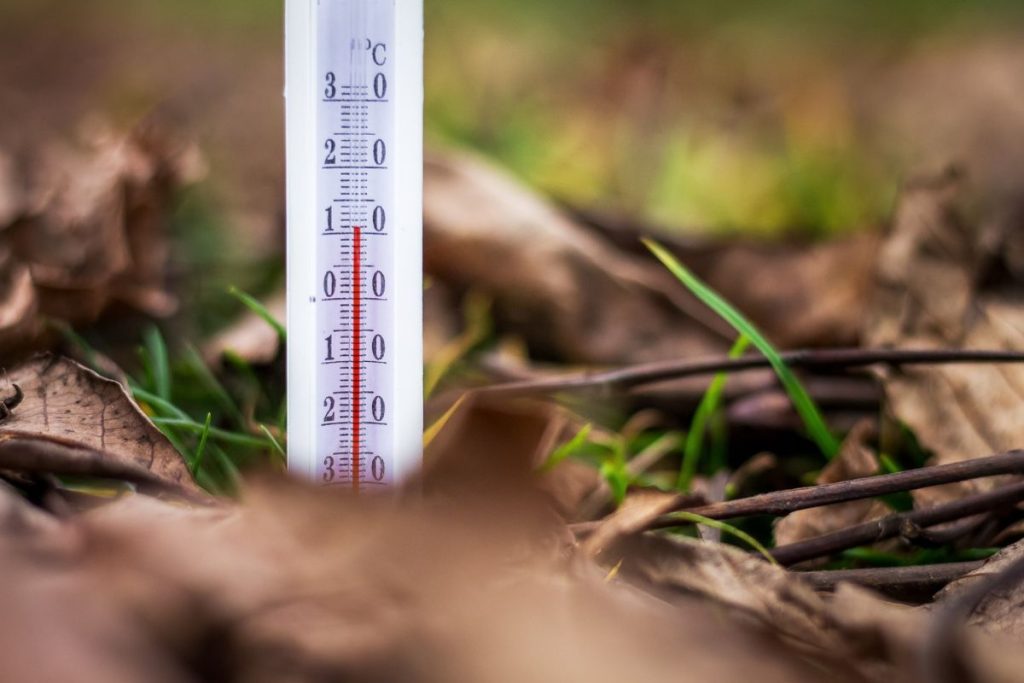 10-Prévenir la surchauffe du sol