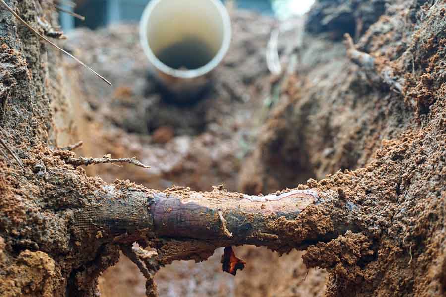 Racines dans les canalisations