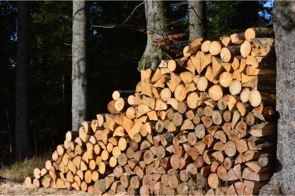 Comment choisir le meilleur fournisseur de bois de chauffage pour l'hiver ?