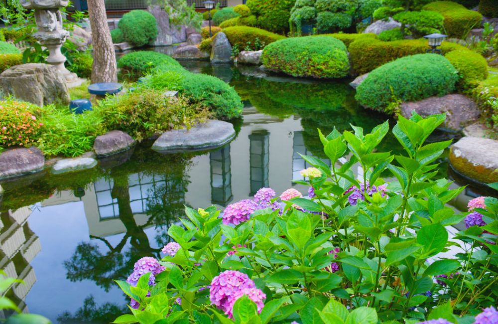 6 idées pour intégrer harmonieusement votre bassin de jardin à votre paysage