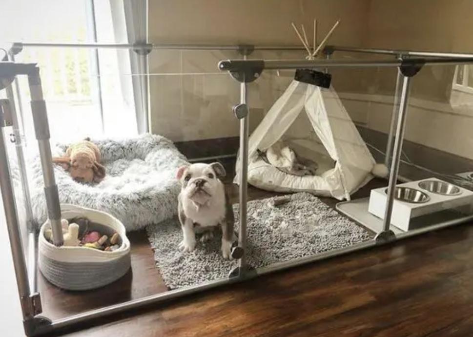 espace-de-vie-ideal-pour-vos-animaux-de-compagnie