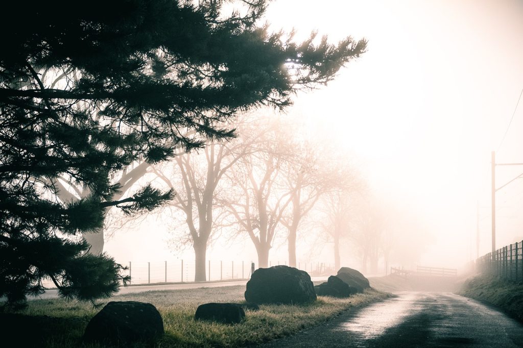 découvrez comment créer un chemin de jardin durable qui allie esthétique et respect de l'environnement. transformez votre espace extérieur avec des matériaux écologiques et des idées innovantes pour un aménagement durable.